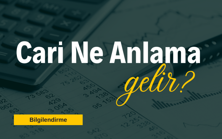 Cari Ne Anlama Gelir?